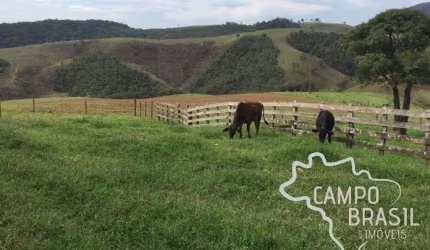 FAZENDA 438 HECTARES TOPOGRAFIA MISTA NO SUL DE MINAS !