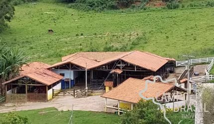 SÍTIO 12,5 ALQUEIRES EM CUNHA- SP !