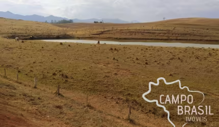 ÁREA 20.000M² EM CAÇAPAVA !