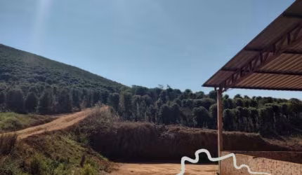 FAZENDA 57 ALQUEIRES EM SANTA RITA DO SAPUCAÍ !