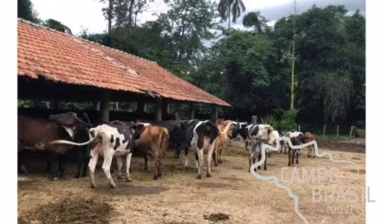 LINDA FAZENDA 159,56 HECTARES LOCALIZAÇÃO PRIVILEGIADA EM CRUZEIRO !