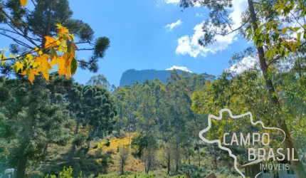 OPORTUNIDADE ÚNICA! ÁREA RURAL 23 HECTARES ABAIXO DA DIVISA DA PEDRA DO BAÚ!