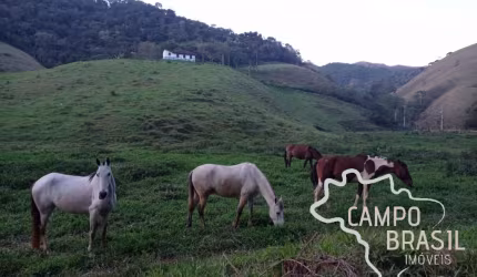 ÓTIMO SÍTIO 6 ALQUEIRES EM SÃO FRANCISCO XAVIER COM MUITA ÁGUA!