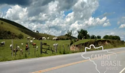 ÁREA RURAL 14 ALQUEIRES EM PINDAMONHANGABA NO ASFALTO!