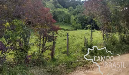 Sítio bem localizado! Escriturado e com nascente!