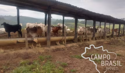 Fazenda com 1 sala à venda na Centro, Centro, Tremembé por R$ 10.000.000