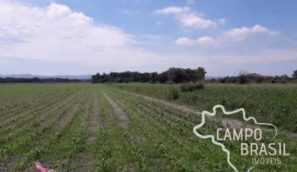 Área rural de 2,5 alqueires em Caçapava.