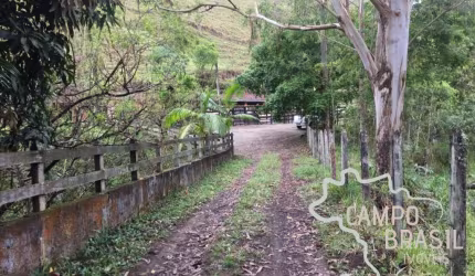 Sítio formado em São Francisco Xavier! Casa boa, curral e pasto formado.