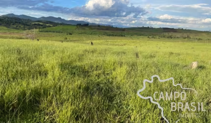 Oportunidade! Sítio de 19 alqueires todo plano!!!