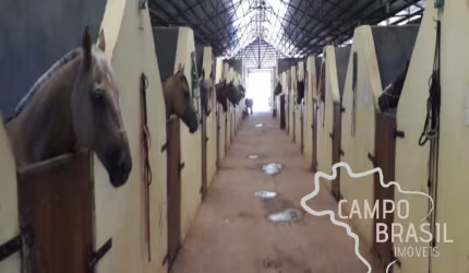 Haras de alto padrão com casa sede e três alojamentos!
