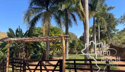 Negócio de ocasião! Fazenda de 105,5 aq com excelente preço!