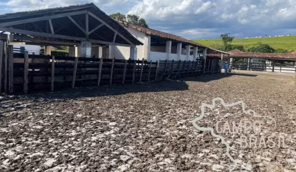 FAZENDA 165,20 ALQUEIRES TOPOGRAFIA PLANA NO VALE DO PARAÍBA !