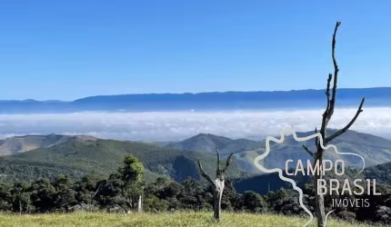 INCRÍVEL FAZENDA 110 ALQUEIRES EM PINDAMONHANGABA - SP !