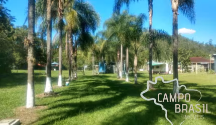 Linda chácara formada e próxima da cidade! Com casa boa, piscina e lago!