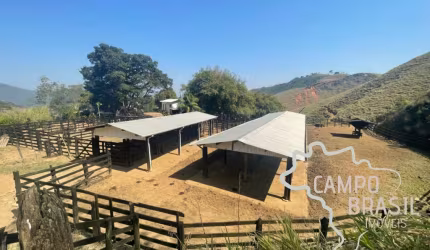 SÍTIO 23 ALQUEIRES COM PASTO FORMADO EM SÃO FRANCISCO XAVIER !