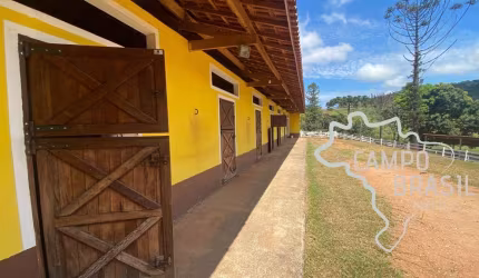 HARAS COM ESTRUTURA IMPECÁVEL PARA CRIADORES EXIGENTES!