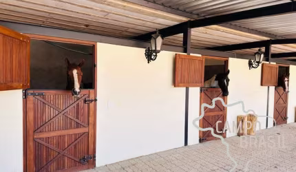 HARAS COMPLETO COM 19 BAIAS EM SÃO JOSÉ DOS CAMPOS - SP !