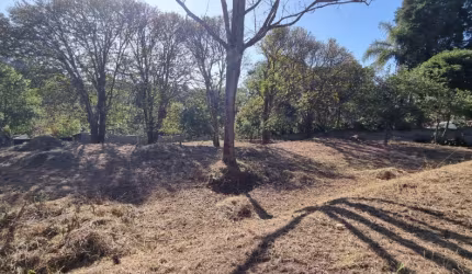 TE00202 - TERRENO DE 2.000M² COM EXCELENTE TOPOGRAFIA E TODA MURADA, EM SÃO ROQUE - SP