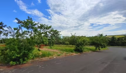 Terreno à venda na Rua Anna Ferrante Ramos, Jardim das Araucárias, Sertãozinho por R$ 103.000