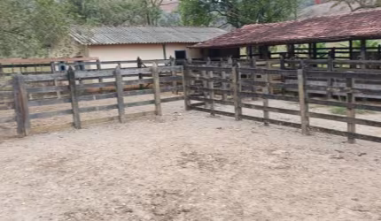 Fazenda Terreno Rural Dionísio - MG - Baixa Verde