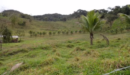 Sítio Terreno Rural Antônio Dias - MG - Zona Rural