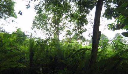 Terreno à venda, 1500 m² por R$ 900.000,00 - Granja Viana - Carapicuíba/SP