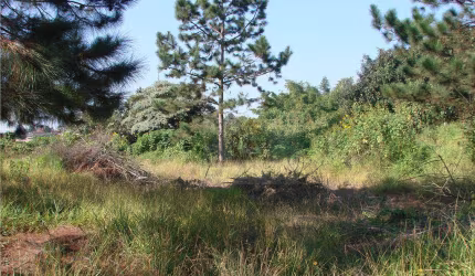 Terreno à venda, 2700 m² por R$ 950.000,00 - Granja Viana - Carapicuíba/SP