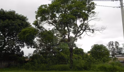 Terreno à venda, 732 m² por R$ 659.628,00 - Granja Viana - Cotia/SP