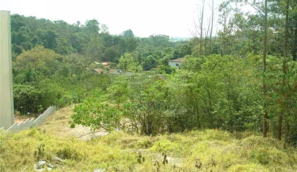Terreno à venda, 3000 m² por R$ 2.850.000,00 - Granja Viana - Cotia/SP