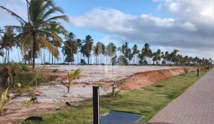 Oportunidade! Terreno Nascente no Praia do Castelo – 700m² | Praia do Forte, Bahia | Infraestrutura Completa e Valorização Garantida!