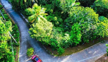 Lote em Condomínio Fechado – Fazenda Praia do Forte | 450m² | Segurança, Verde e Qualidade de Vida!