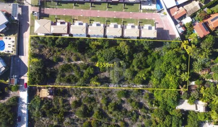 Área para Empreendimento em Imbassaí – Litoral Norte/BA | Topografia Excelente e Localização Alta