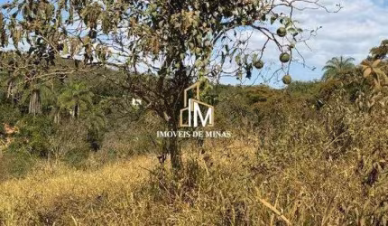 Terrenos á venda de 3000m² com água nos fundos em Mateus Leme MG!