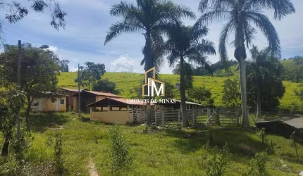Fazenda á venda de 57 hectares com 02 nascentes em Crucilândia MG!