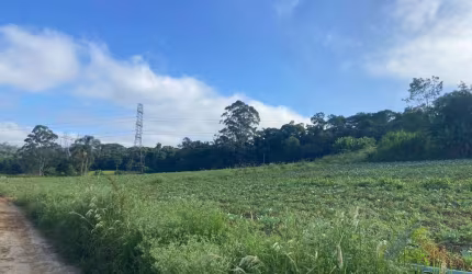 Chácara para Venda em Suzano, Parque Santa Rosa