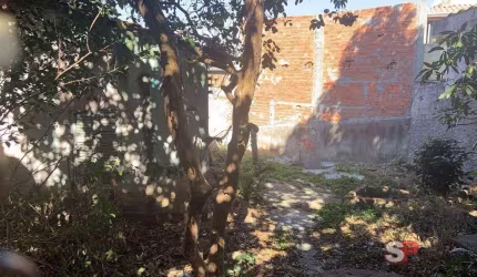 Terreno à venda, Jardim Penha - São Paulo/SP