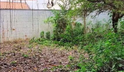 Casa à venda, 3 quartos, 3 vagas, Alto da Mooca - São Paulo/SP