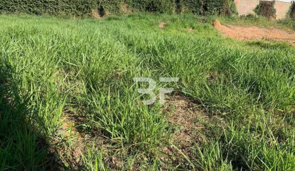 Terreno à venda, 600 m² por R$ 920.000,00 - Jardim Bela Vista - Indaiatuba/SP
