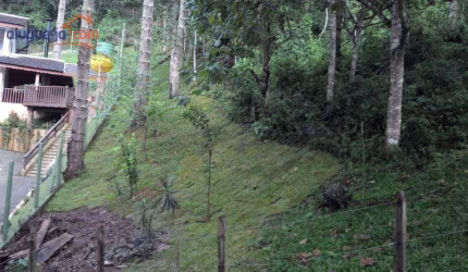 Terreno à venda, 1300 m² por R$ 350.000,00 - Centro - Santo Antônio do Pinhal/SP