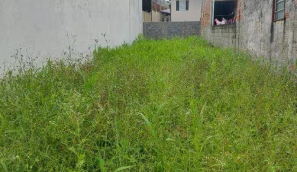 Terreno à venda, 125 m² por R$ 135.000,00 - Jardim Torrão de Ouro - São José dos Campos/SP