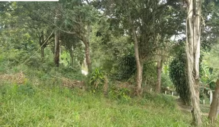 Terreno amplo a venda próximo ao condomínio Aruã, com 3.160 m²,  Estrada da Pedreira, Mogi das Cruzes.