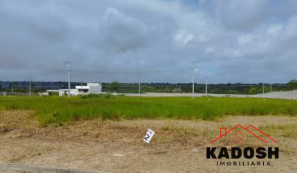 Terreno à venda em Feira de Santana-BA, bairro Sim, 250m² de área. Aproveite essa oportunidade única!