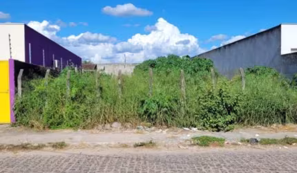Terreno à venda em Feira de Santana-BA, bairro Santa Mônica, com 408m² de área: oportunidade imperdível!