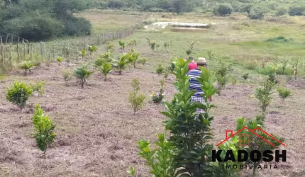 Terreno à venda em Feira de Santana-BA - Bairro Tomba - 4.600m² de área. Imperdível oportunidade de investimento!