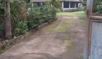 Venha conhecer esse maravilhoso Sítio/Chácara à venda, localizado em Oliveira dos Campinhos em Santo Amaro.