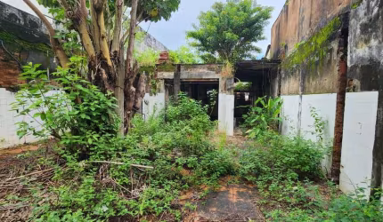 Terreno - 550 m² - Brotas - Comercial ou Residencial