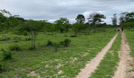 Oportunidade única: Fazenda à venda em Boa Vista do Tupim-BA, com 4 quartos, 2 salas, 3 banheiros e 996 hectares de área!