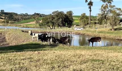 Fazenda completa e produzindo