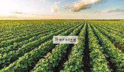 Fazenda à vend R$ 410.000.000 - . - Paranapanema/SP