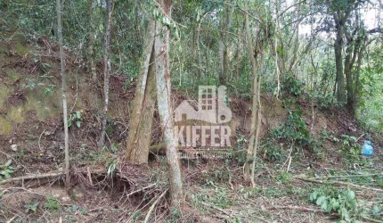 Terreno à venda, 750 m² por R$ 196.000,00 - Serra Grande - Niterói/RJ